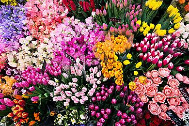 动画剧集改编 《星际迷航神童：超新星》正式公布